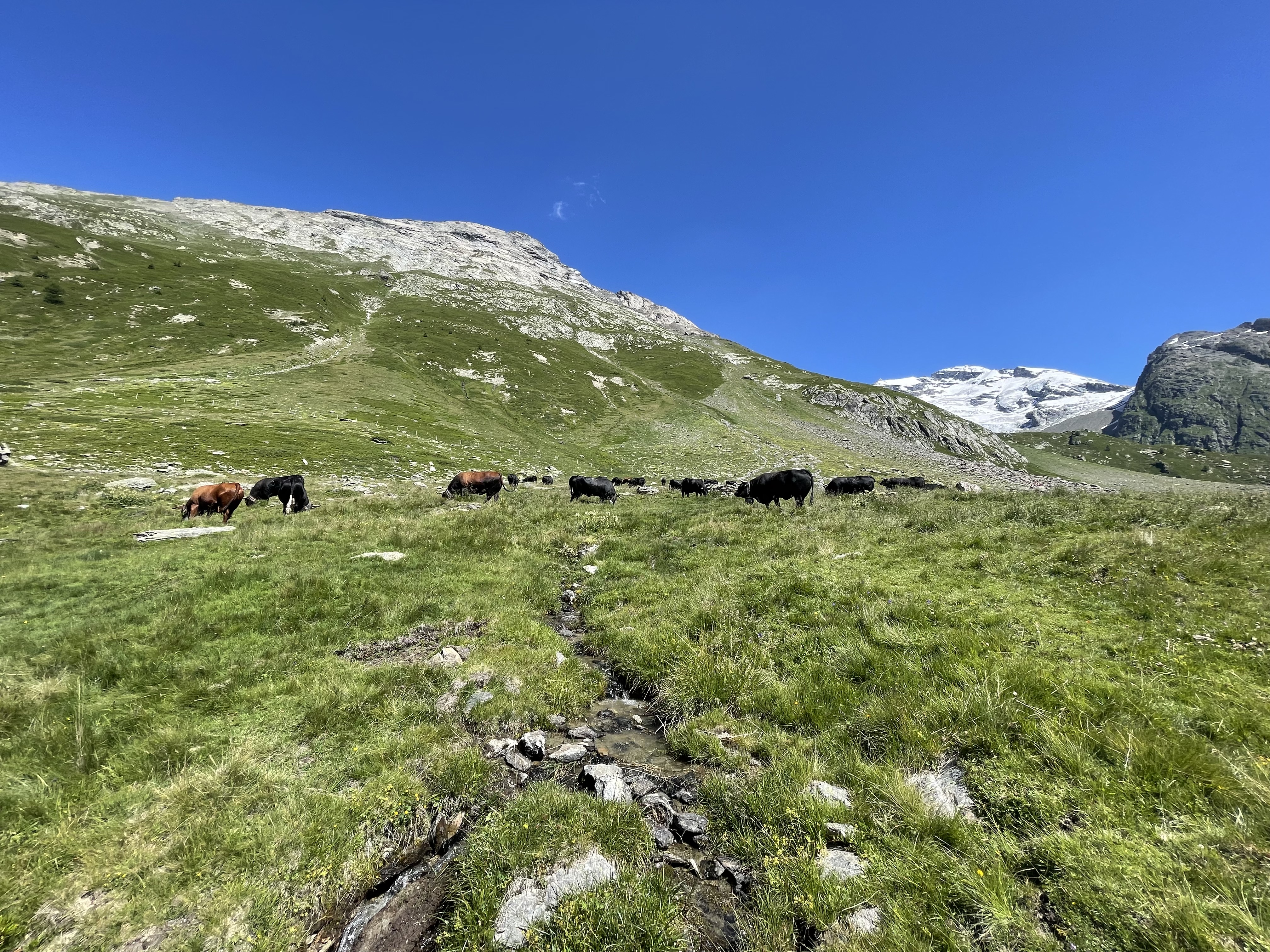 Géobiologie, énergie, montagne, ressenti