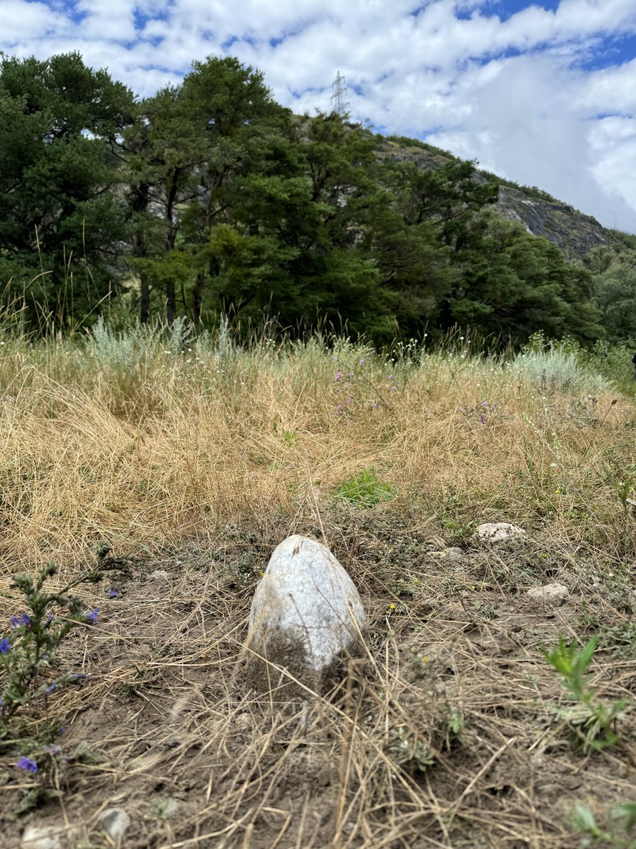 Pose de pierre, géobiologie, réflexologie de la terre